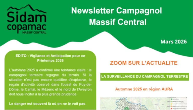 Lire la suite à propos de l’article La nouvelle newsletter campagnol terrestre