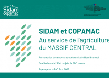 Capture d’écran 2026-07-10 152250