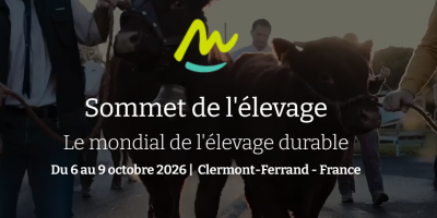 Capture d'écran 2026-09-16 105817