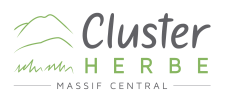 cluster-logo-quadri
